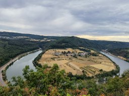 img-20220801-174840