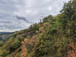 img-20220801-174857